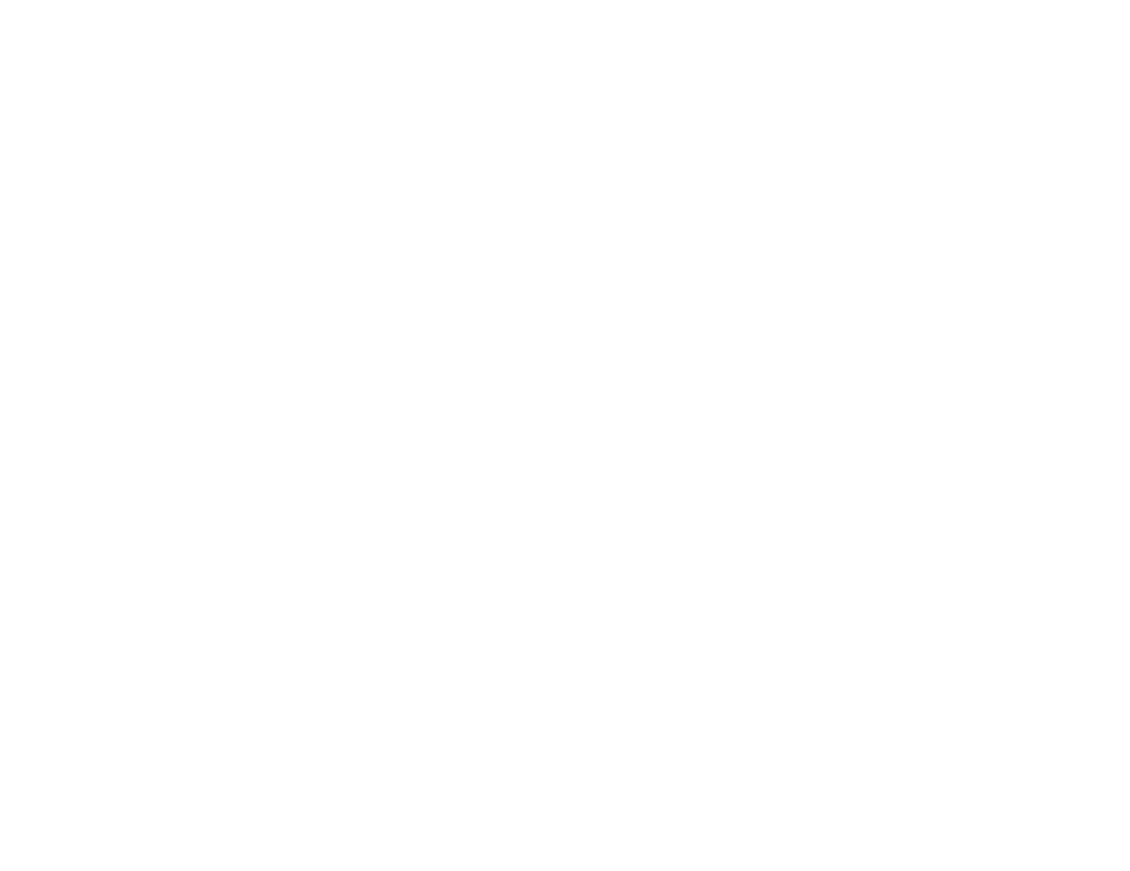 Logo Losito Srl